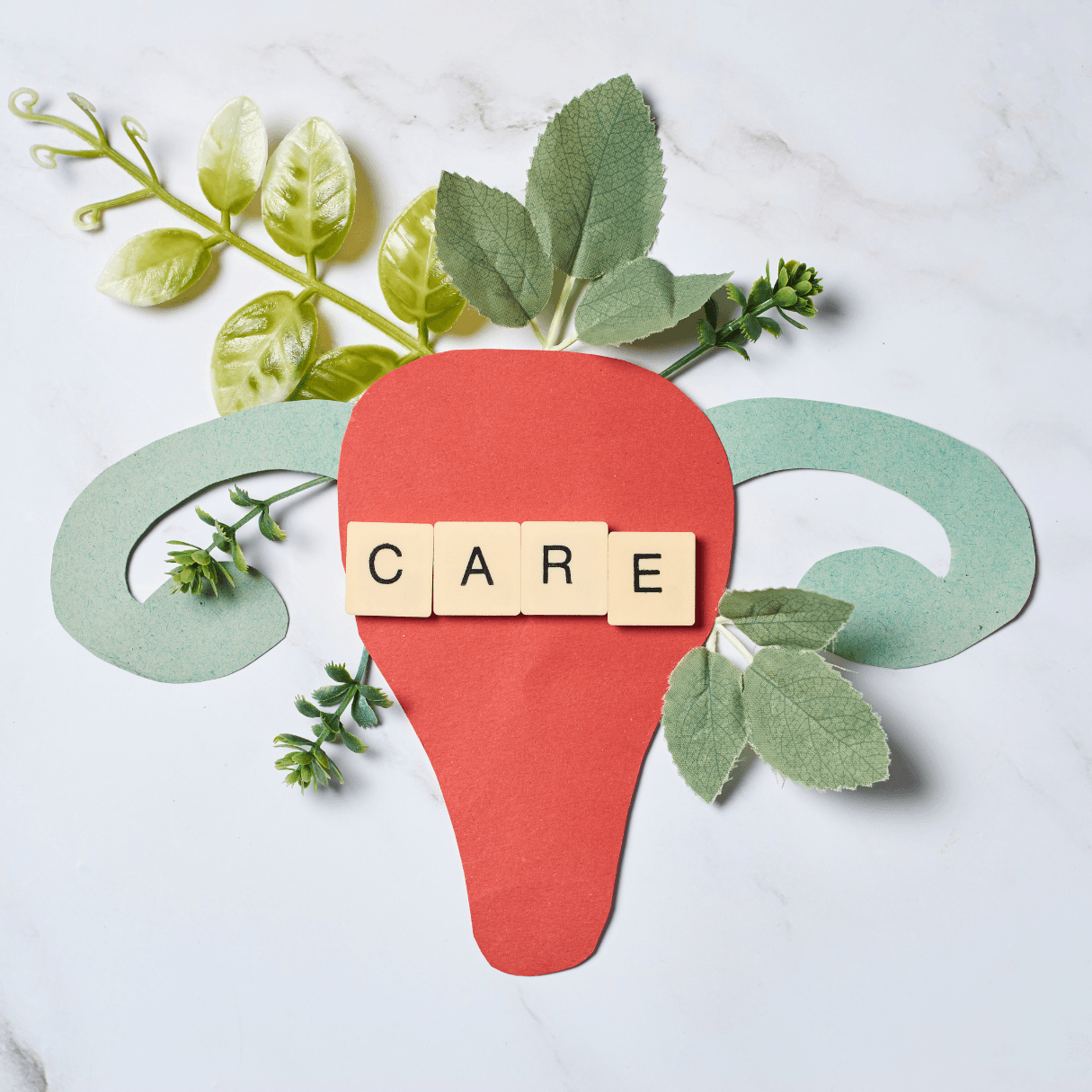 Otros tratamientos alternativos a la TRH para bochornos y sudoraciones nocturnas, ansiedad, ánimo y sueño